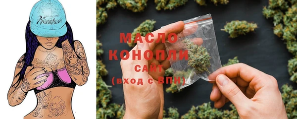 спиды Пересвет