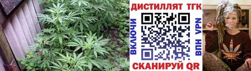 ТГК вейп с тгк  Калининец 