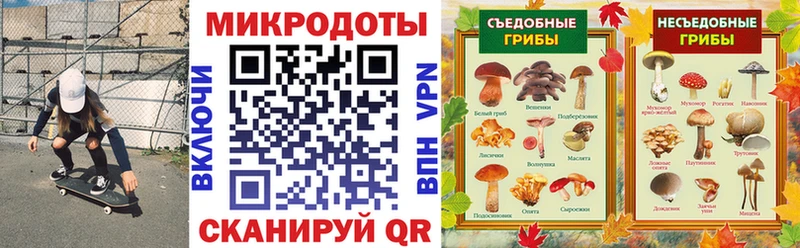 что такое наркотик  гидра онион  Галлюциногенные грибы Magic Shrooms  Калининец 