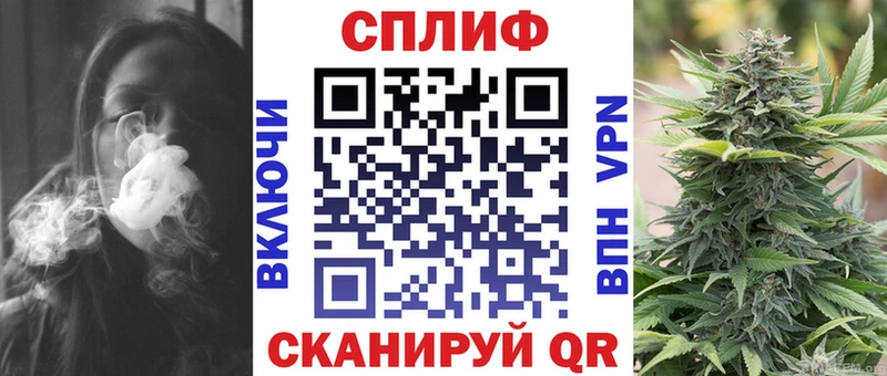 Шишки марихуана сатива Калининец